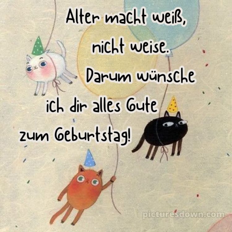 Alles gute zum geburtstag text lustig bild Katzen kostenlos