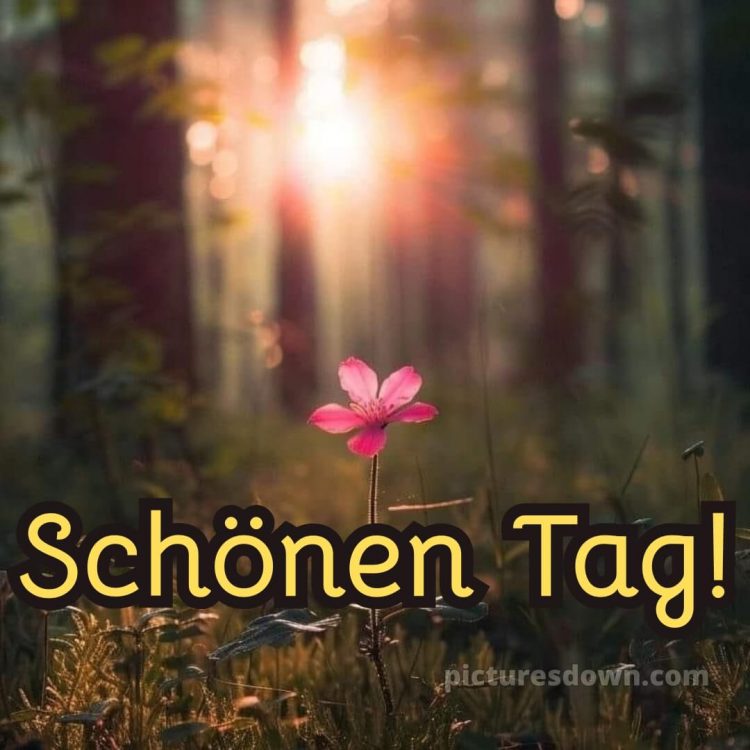 Einen schönen tag bild Strahlen kostenlos