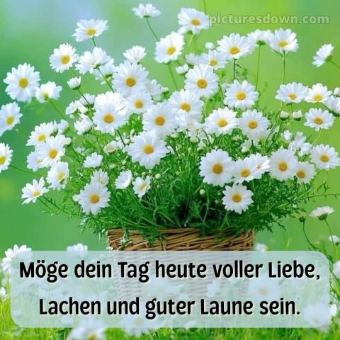 Einen schönen tag bild Blumenstrauß kostenlos