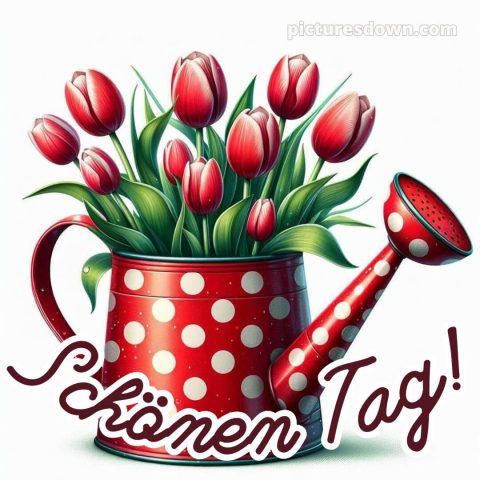 Einen schönen tag bild Tulpen kostenlos