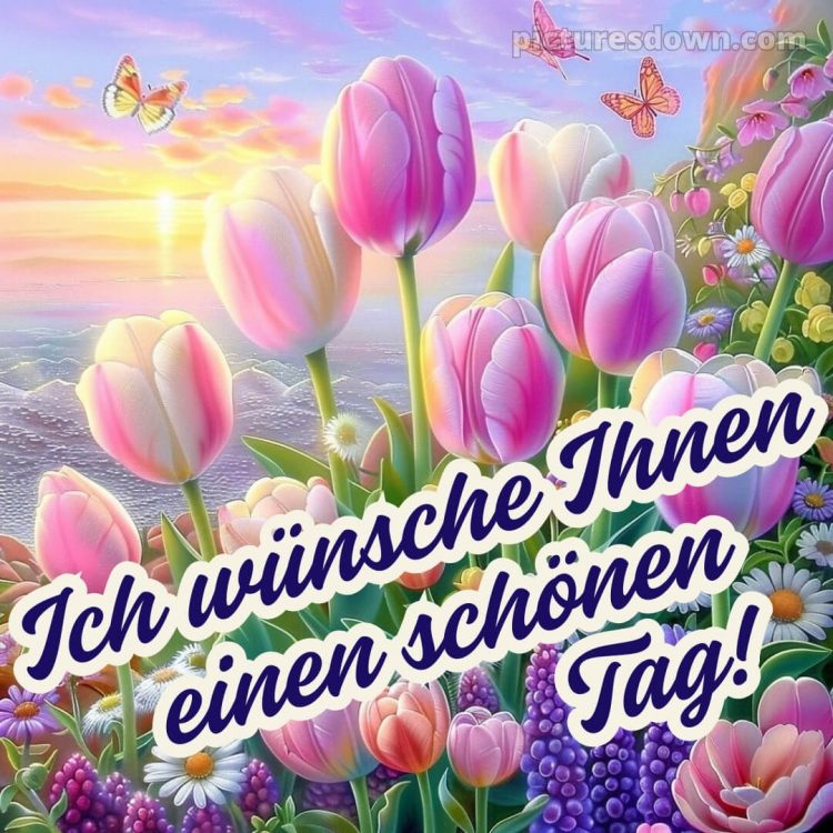 Einen schönen tag bild Natur kostenlos