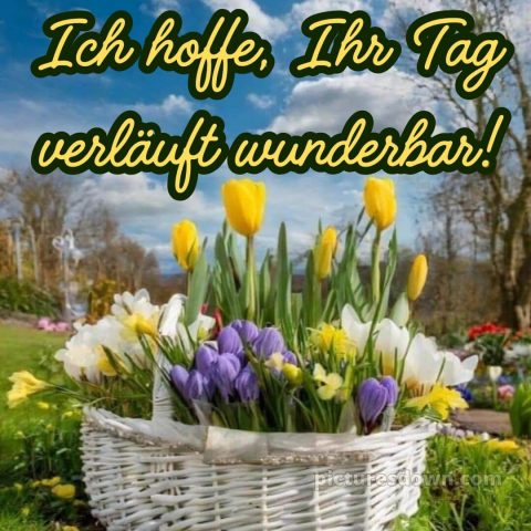 Einen schönen tag bild Korb kostenlos