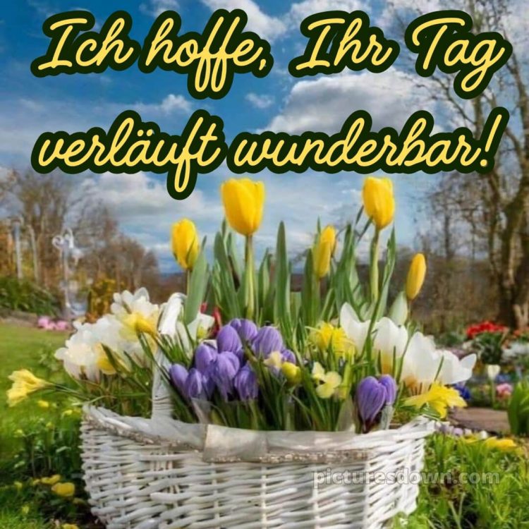 Einen schönen tag bild Korb kostenlos