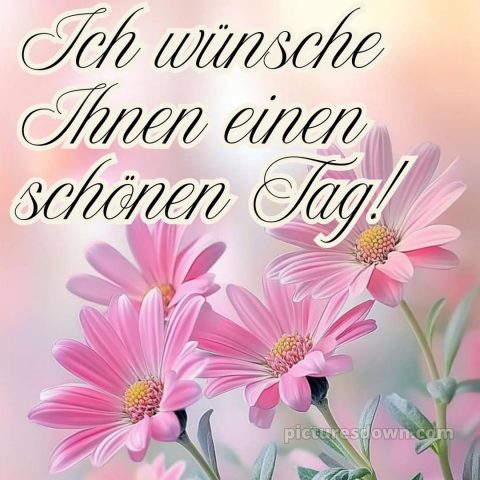 Einen schönen tag bild Blumen kostenlos