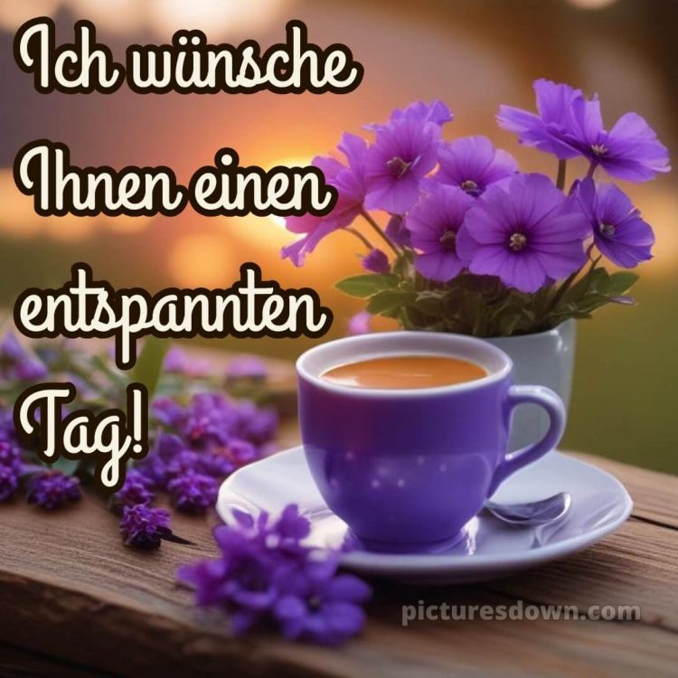 Guten morgen schönen tag bild violette Blumen kostenlos