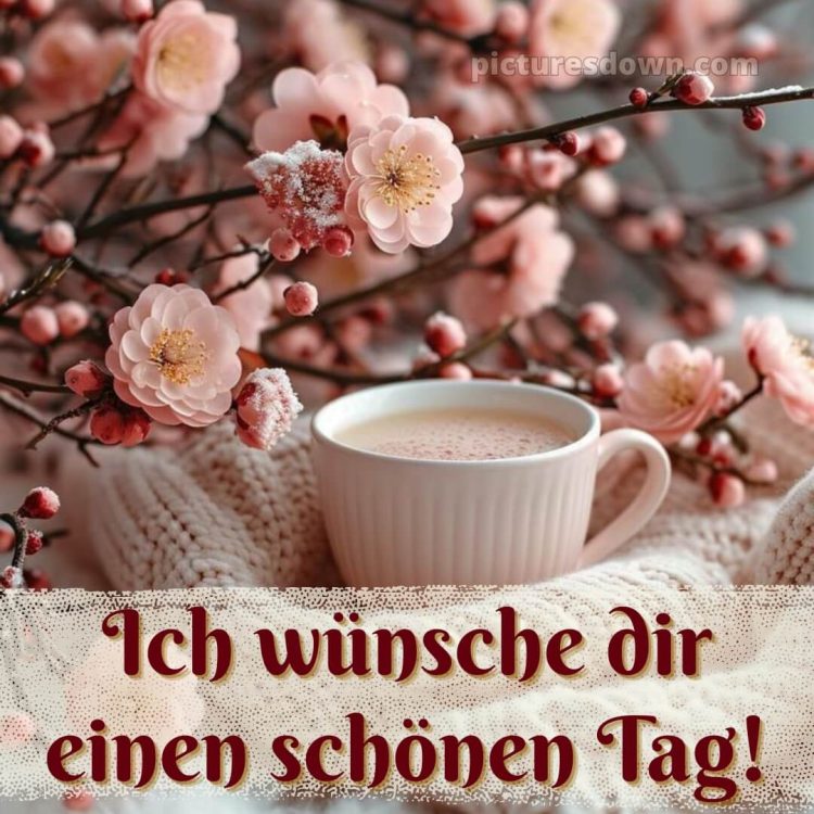 Guten morgen schönen tag bild Jumper kostenlos