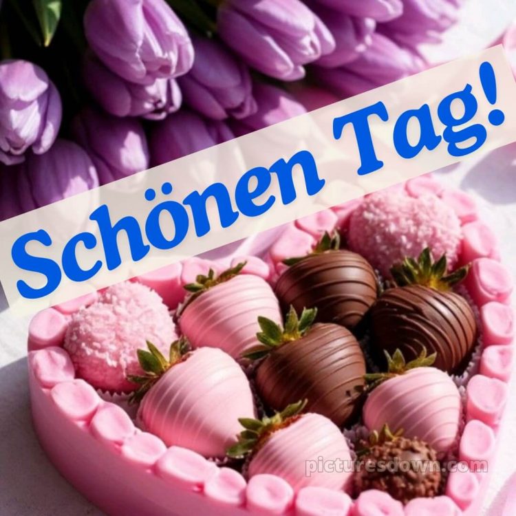 Guten morgen schönen tag bild Erdbeeren mit Schokoladenüberzug kostenlos