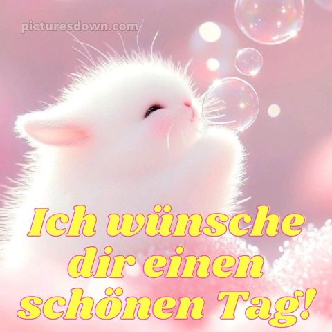 Guten morgen schönen tag bild Seifenblasen kostenlos