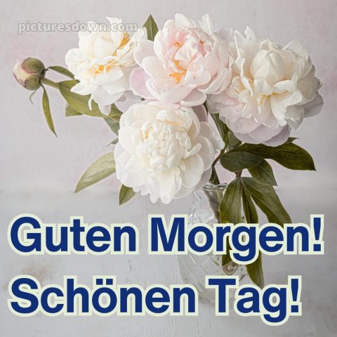 Guten morgen schönen tag bild Blumenstrauß kostenlos