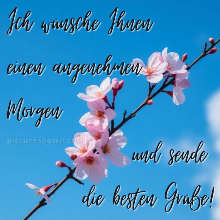 Guten morgen schönen tag bild Himmel kostenlos