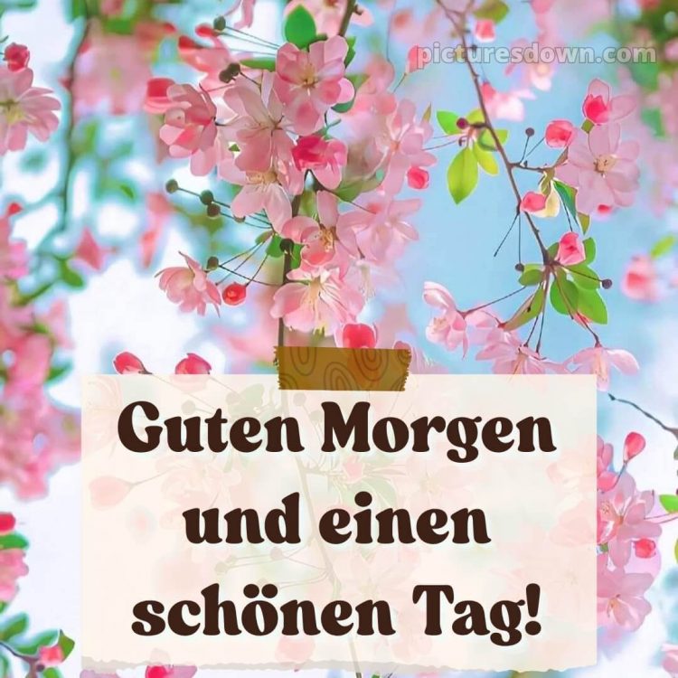Guten morgen und einen schönen tag bild Blühende kostenlos