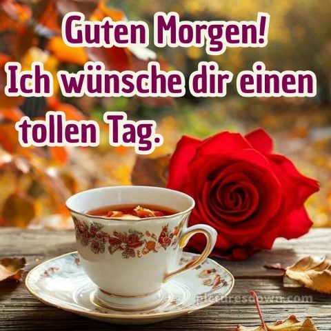 Guten morgen und einen schönen tag bild Tee kostenlos