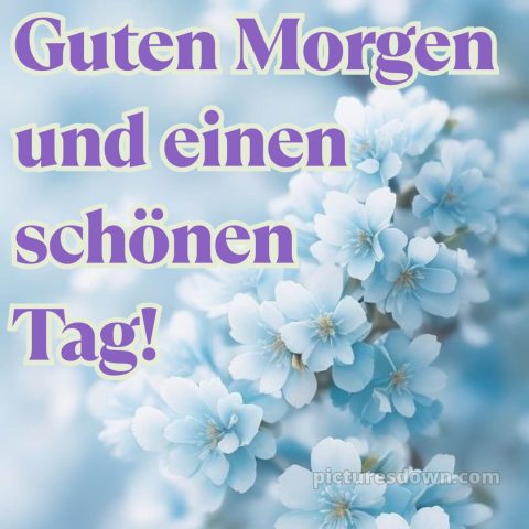 Guten morgen und einen schönen tag bild Karte kostenlos