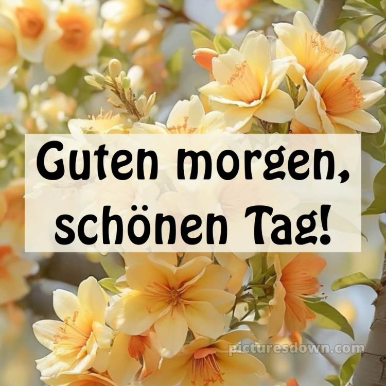 Guten morgen und einen schönen tag bild Blumen kostenlos
