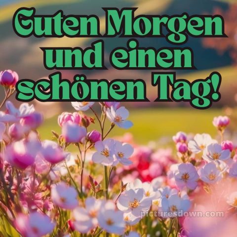 Guten morgen und einen schönen tag bild Feld kostenlos