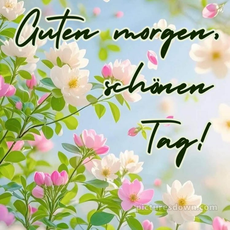 Guten morgen und einen schönen tag bild Himmel kostenlos