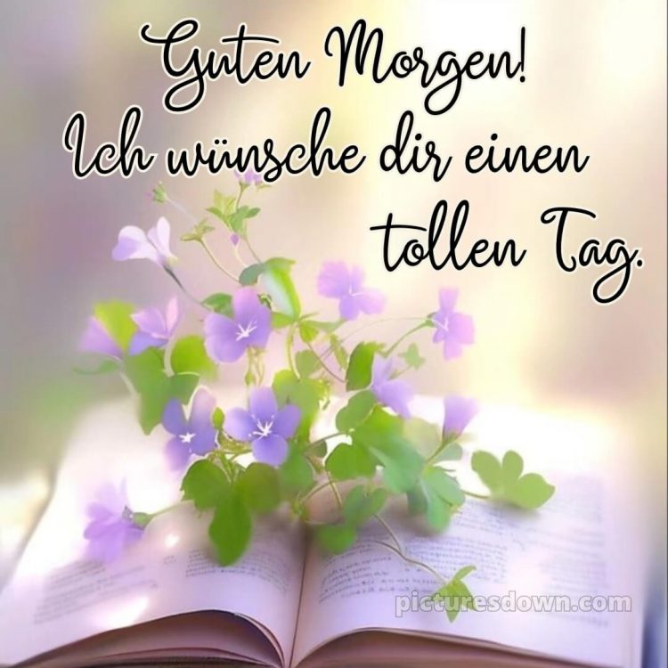 Guten morgen und einen schönen tag bild Buch kostenlos