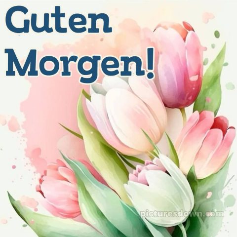 Guten morgen und einen schönen tag bild Tulpen kostenlos