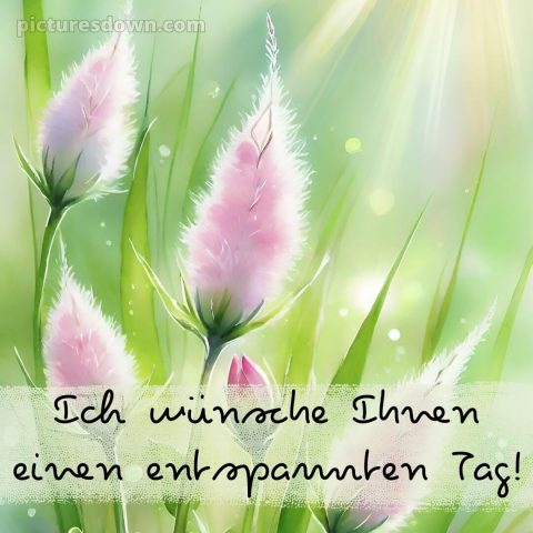 Hab einen schönen tag bild Strahlen kostenlos