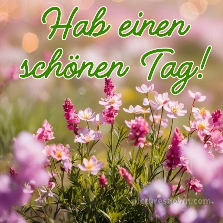 Hab einen schönen tag bild Wildblumen kostenlos