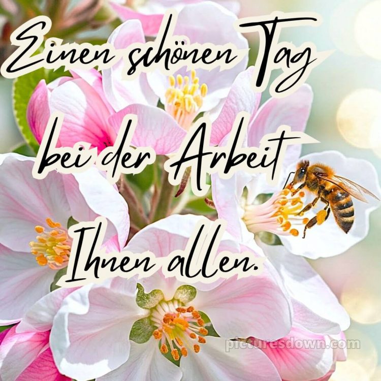 Hab einen schönen tag bild Biene kostenlos