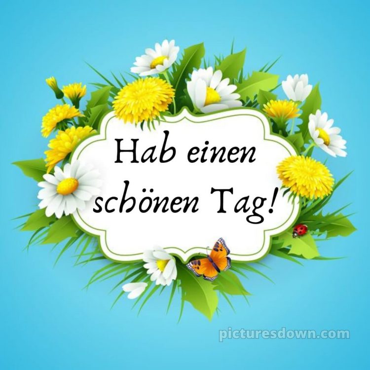 Hab einen schönen tag bild Löwenzähne kostenlos