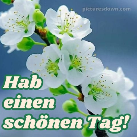 Hab einen schönen tag bild Himmel kostenlos