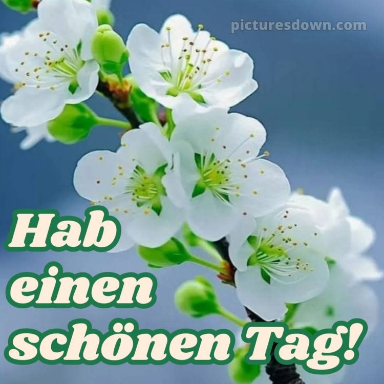 Hab einen schönen tag bild Himmel kostenlos