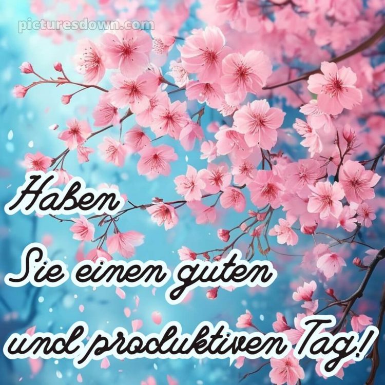 Hab einen schönen tag bild Blühende kostenlos