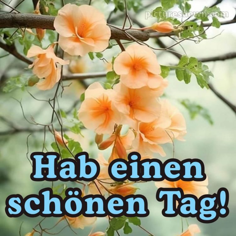 Hab einen schönen tag bild Zweigstelle kostenlos