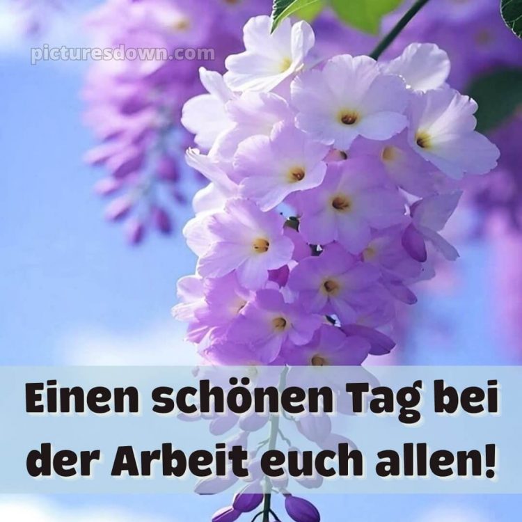 Hab einen schönen tag bild Karte kostenlos