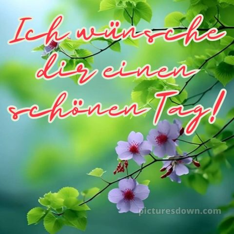 Ich wünsche dir einen schönen tag bild 1 kostenlos