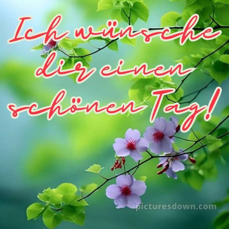 Ich wünsche dir einen schönen tag bild 1 kostenlos