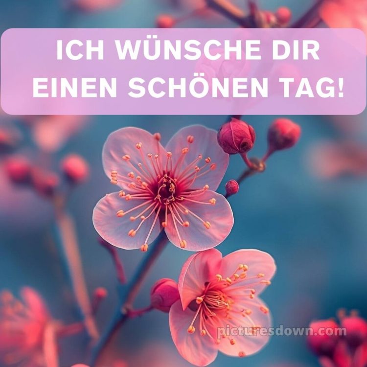 Ich wünsche dir einen schönen tag bild 10 kostenlos