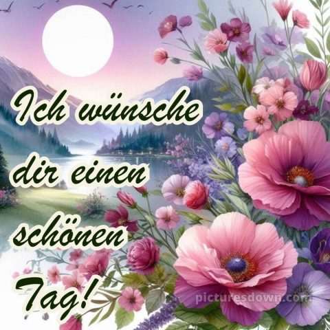 Ich wünsche dir einen schönen tag bild 11 kostenlos