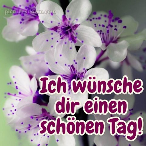 Ich wünsche dir einen schönen tag bild 12 kostenlos