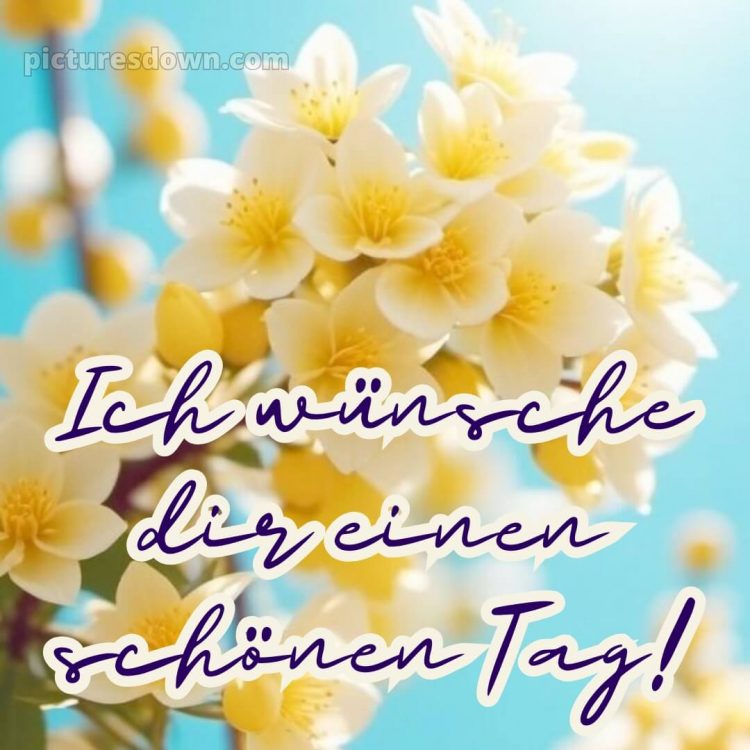 Ich wünsche dir einen schönen tag bild 13 kostenlos