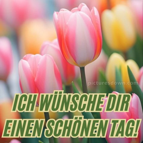 Ich wünsche dir einen schönen tag bild 4 kostenlos