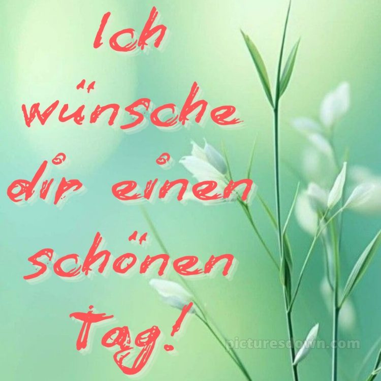 Ich wünsche dir einen schönen tag bild 5 kostenlos