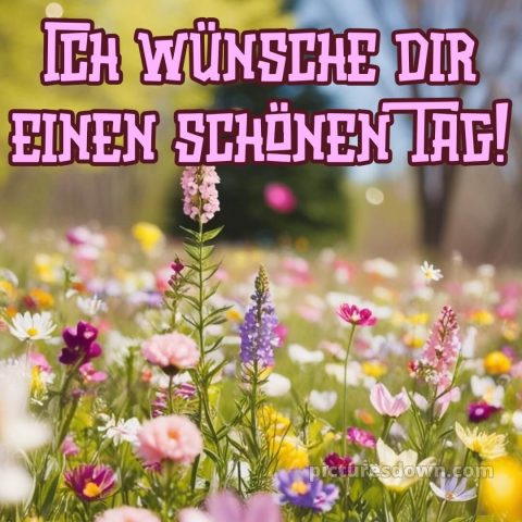 Ich wünsche dir einen schönen tag bild 6 kostenlos