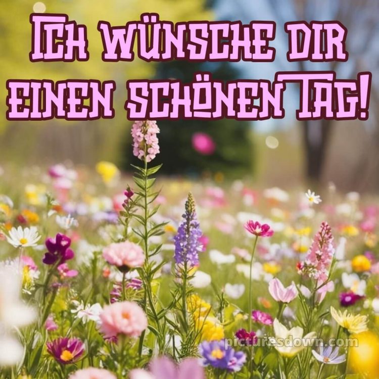 Ich wünsche dir einen schönen tag bild 6 kostenlos