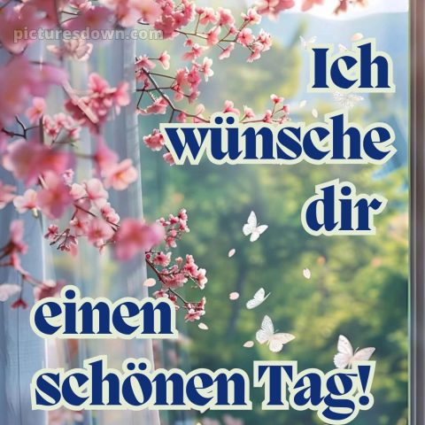 Ich wünsche dir einen schönen tag bild 7 kostenlos
