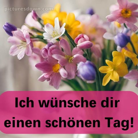 Ich wünsche dir einen schönen tag bild 9 kostenlos