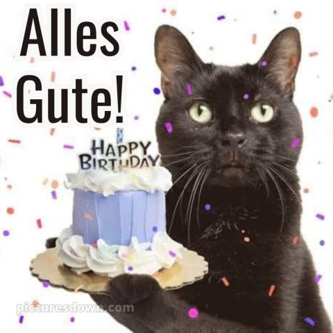 Männer alles gute zum geburtstag lustig bild Katze kostenlos