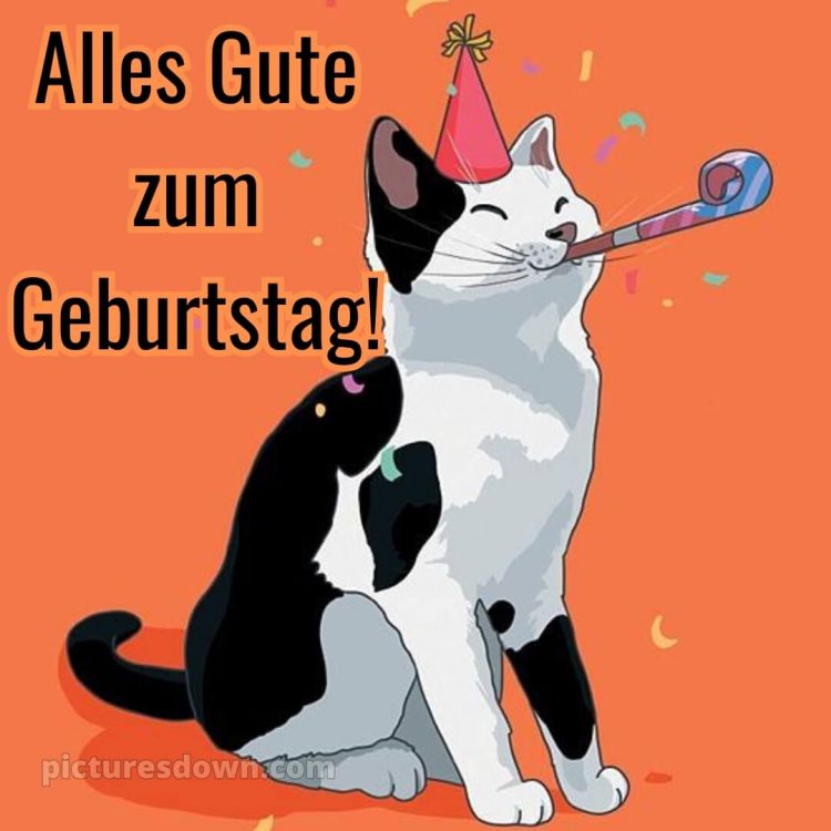Männer alles gute zum geburtstag lustig bild Karte kostenlos