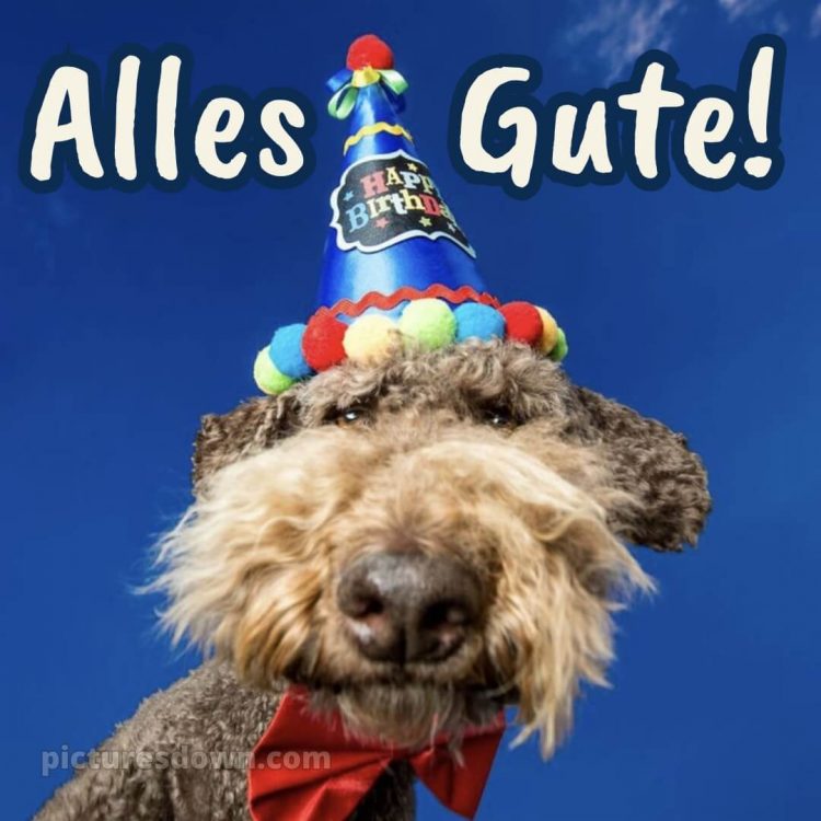 Männer alles gute zum geburtstag lustig bild Himmel kostenlos