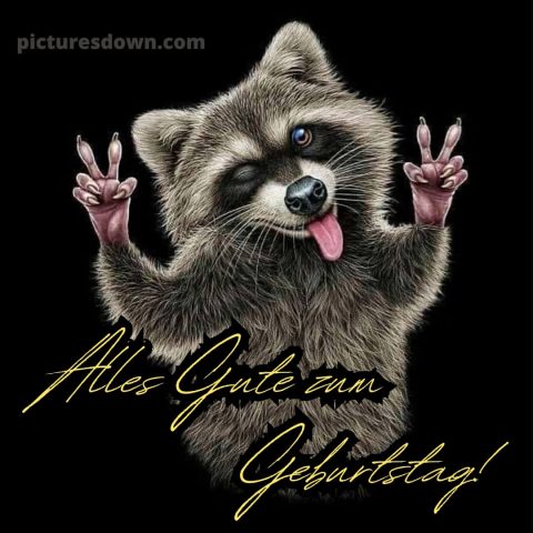 Männer alles gute zum geburtstag lustig bild Waschbär kostenlos