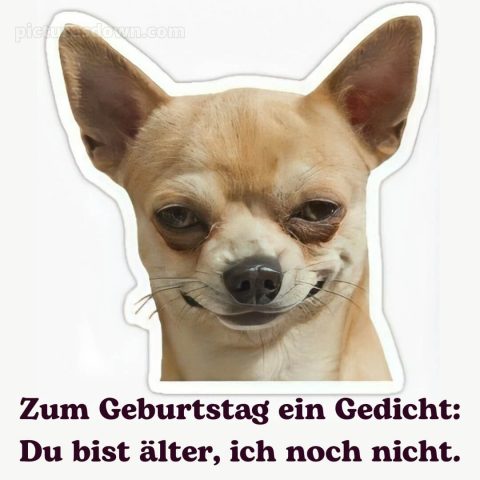 Männer lustig alles gute zum geburtstag bild Hündchen kostenlos