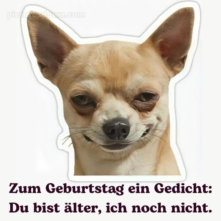 Männer lustig alles gute zum geburtstag bild Hündchen kostenlos