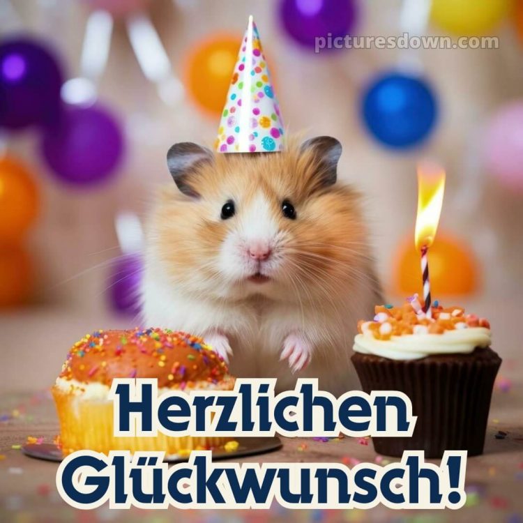 Männer lustig alles gute zum geburtstag bild Hamster kostenlos